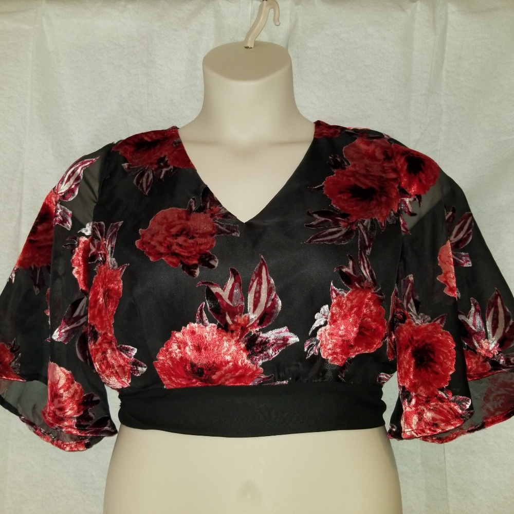 Floral Sheer Velvet Kimono Sleeve Crop Blouse L